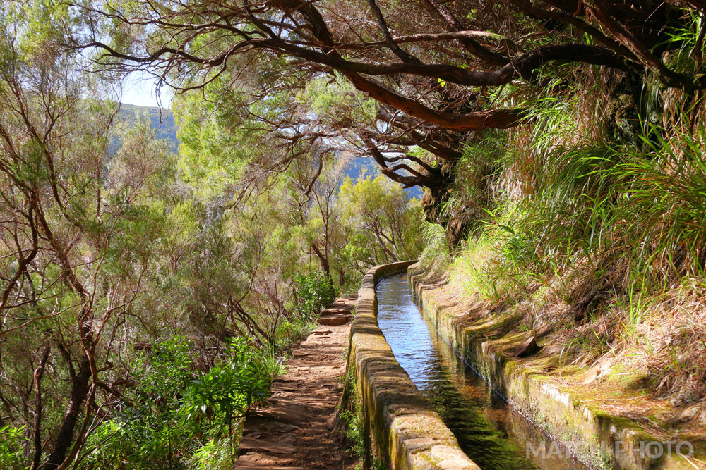 Wanderweg durch die Natur an einer Levada