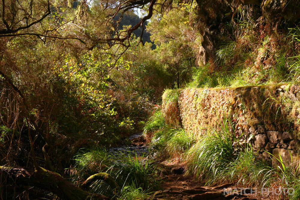 Wandern in der Nachmittagssonne auf Madeira