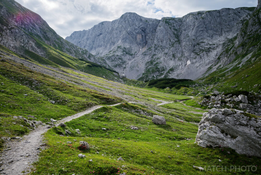 Wandern in den Bergen oberhalb der Baumgrenze